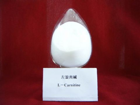 L-Carnitine